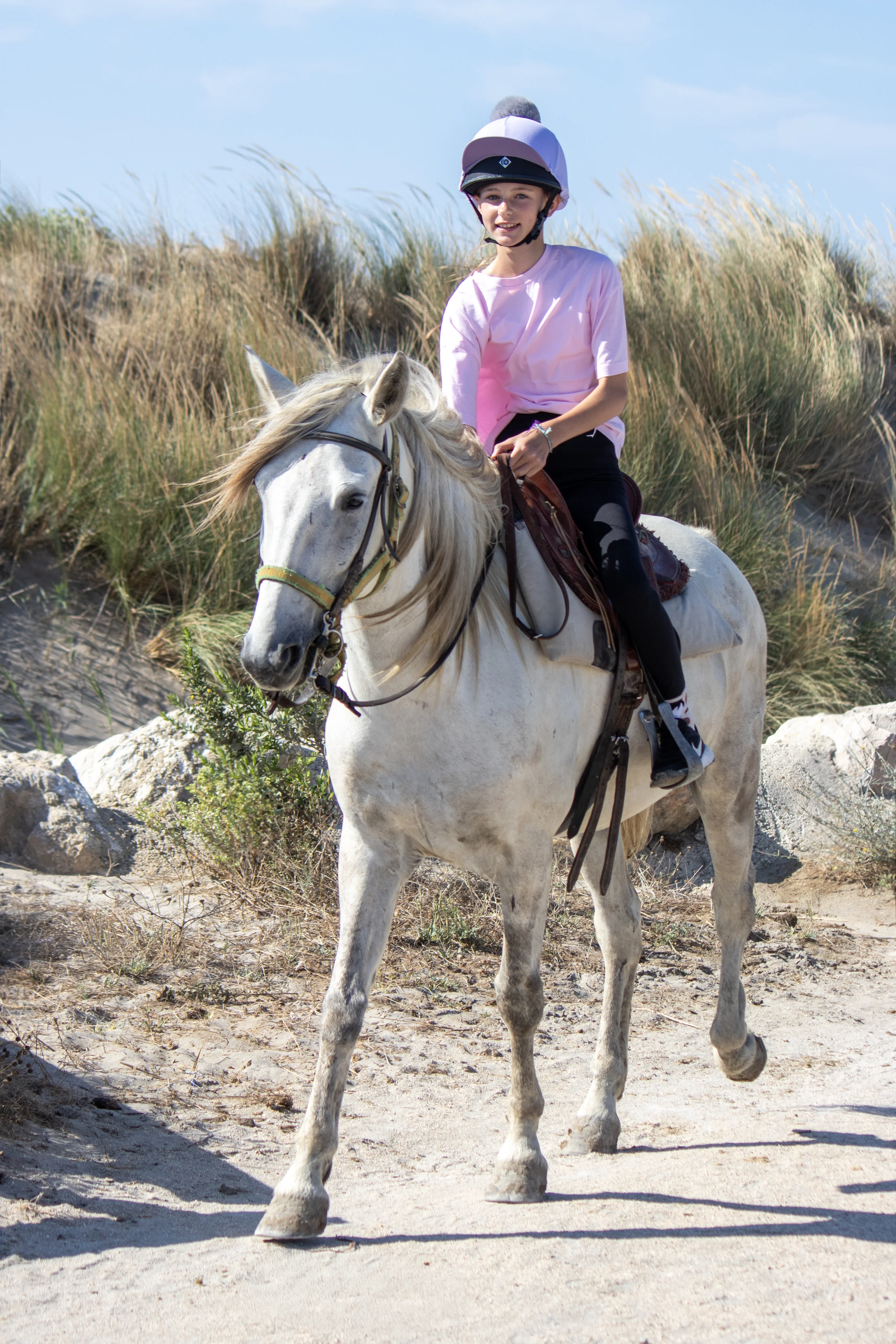 Cavailers en bord de mer