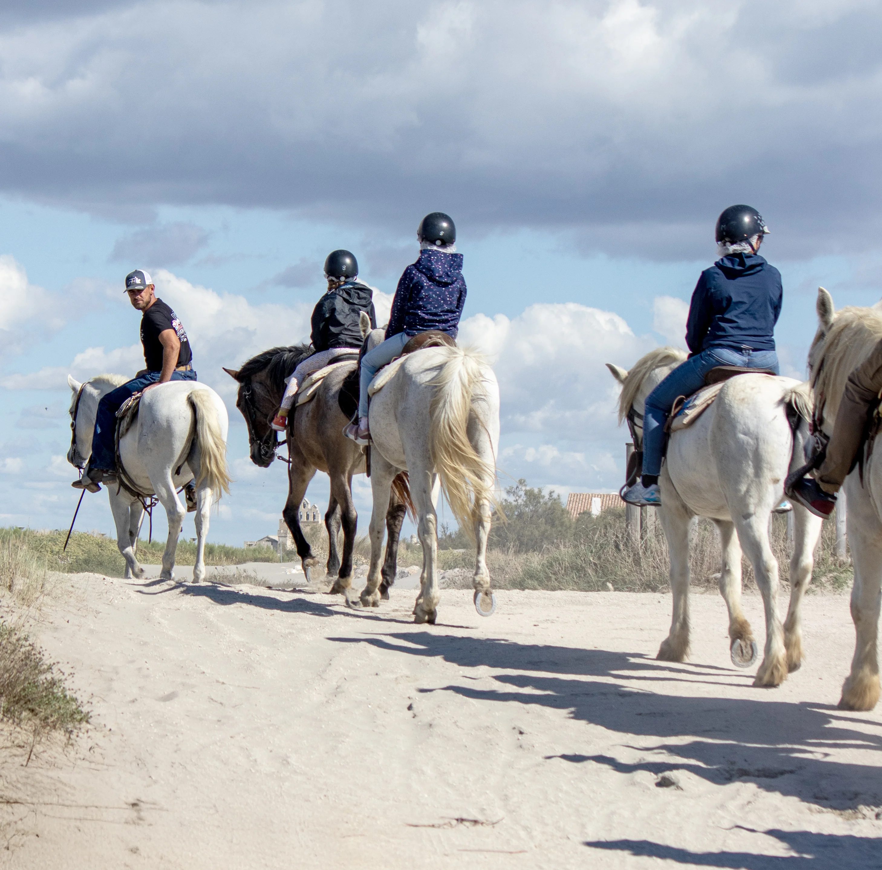 Randonnée en Camargue