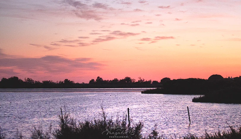 Reflets sur le marais