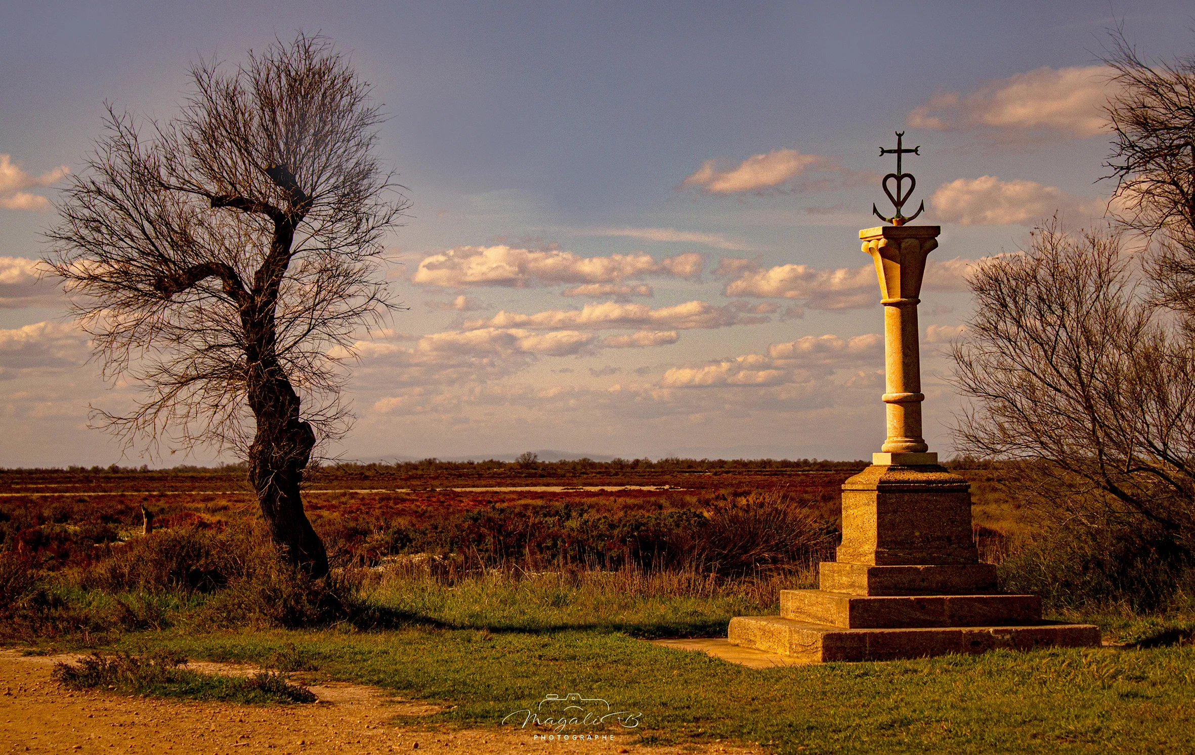 La Croix de Camargue